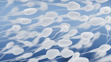 Super-Food or Super-Gross? The Reality Concerning Sperm